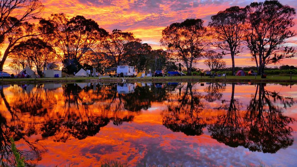 Coonawarra Bush Holiday Park Eksteriør billede